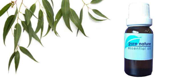 Pure Nature Eucalyptus Essential Oil