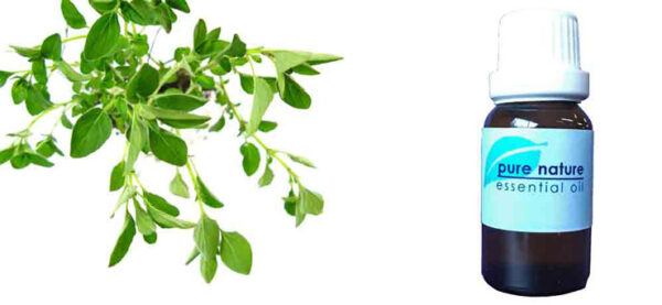 Pure Nature Marjoram Essential Oil