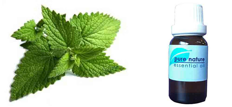 Pure Nature Peppermint Essential Oil