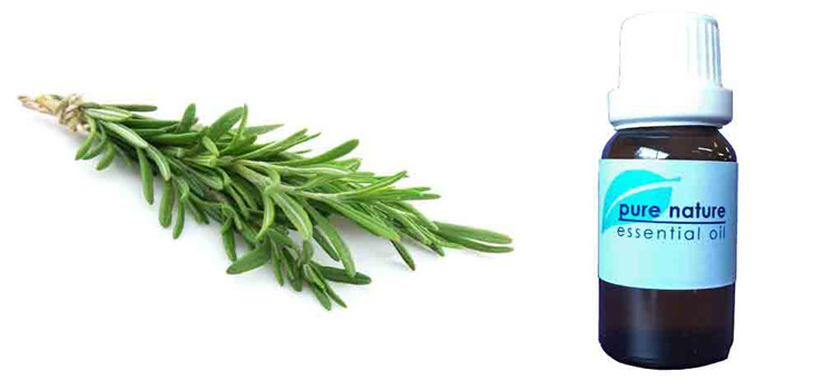 Pure Nature Rosemary Essential Oil