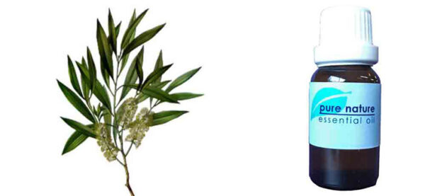Pure Nature Tea Tree Essential Oil