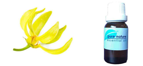 Pure Nature Ylang Ylang Essential Oil