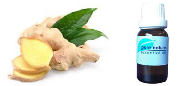 Pure Nature Ginger Root Essential Oil